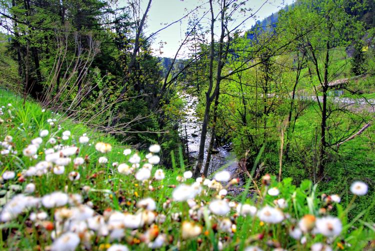 DOLINA LEŚNICY SKI & SPA RESORT | Brenna | 3