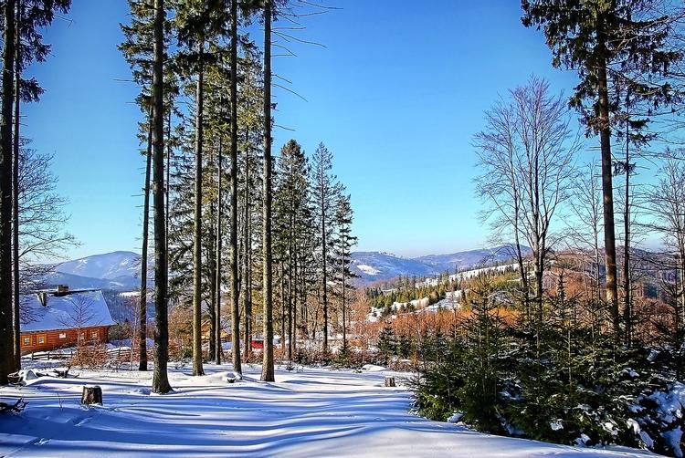 DOLINA LEŚNICY SKI & SPA RESORT | Brenna | 5